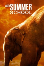 Wild Summer School