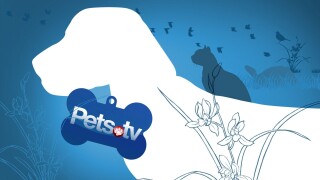 Pets TV