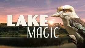 Lake Magic