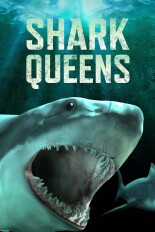 Shark Queens