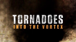 Tornadoes: Into the Vortex