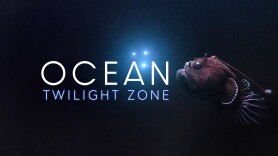 Ocean Twilight Zone