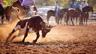 Red Bull Rancher Strong Recap