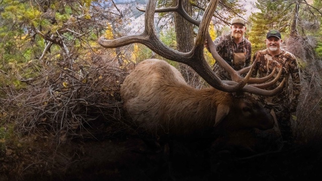 Elk Hunting With Jason Phelps