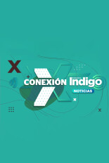 Conexión Indigo Noticias