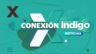 Conexión Indigo Noticias