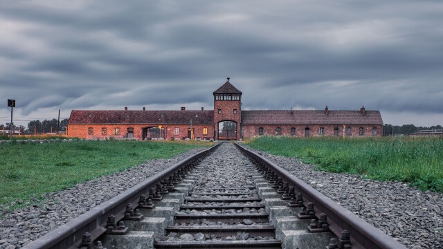 After Auschwitz: Battle for the Holocaust