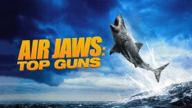 Air Jaws: Top Guns