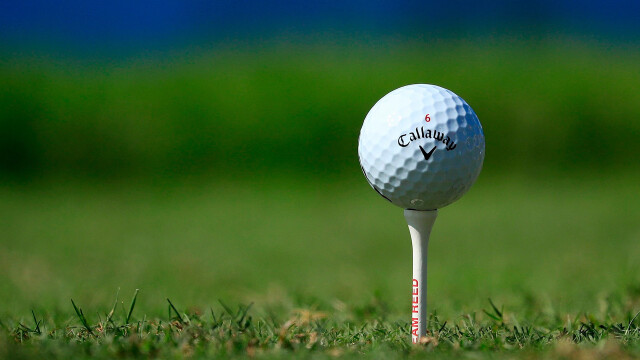 2025 U.S. Open Golf Championship