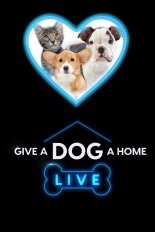 Give A Dog A Home Live!