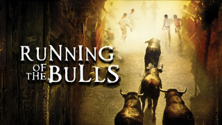 Running of the Bulls