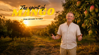 The Spirit of Mango
