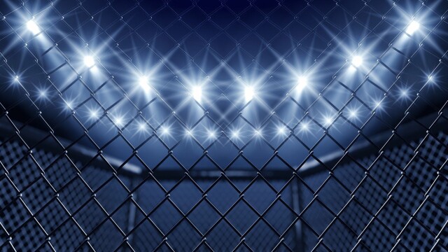 We Love MMA 53