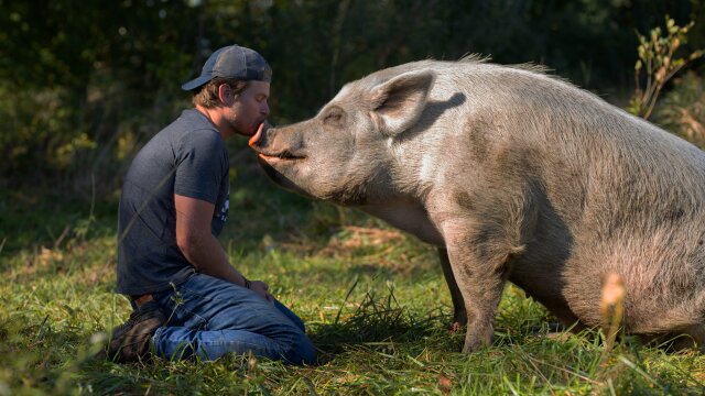 Saved By The Barn