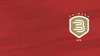 Campeonato Argentino Primera B