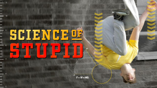 Science of Stupid