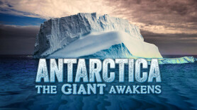 Antarctica: The Giant Awakens