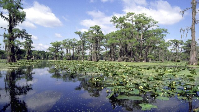 Texas Parks and Wildlife