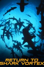Return to Shark Vortex