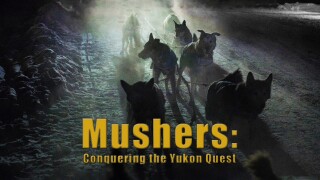 Mushers: Conquering the Yukon Quest