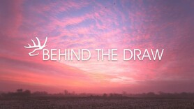 Behind the Draw