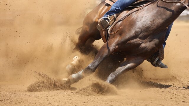 California Rodeo Salinas