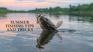 Summer Fishing Tips and Tricks