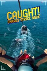 Caught! Sharks Strike Back