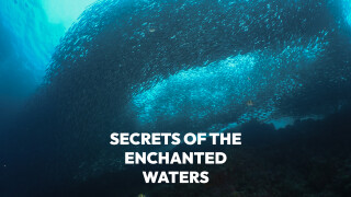 Secrets of the Enchanted Waters