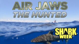Air Jaws: The Hunted