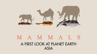 Planet Earth: Mammals: A First Look at Planet Earth: Asia