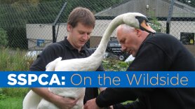 SSPCA: On the Wildside