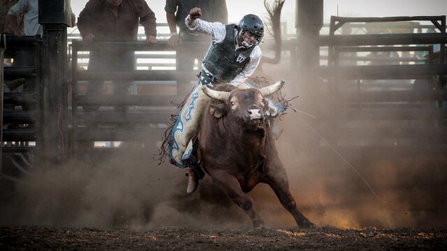 PBR Bull Riding