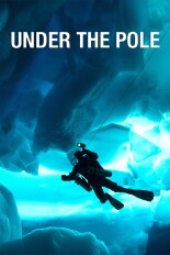 Under the Pole
