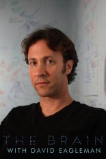The Brain With David Eagleman