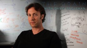 The Brain With David Eagleman