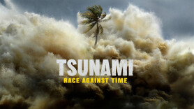 Tsunami: Race Against Time