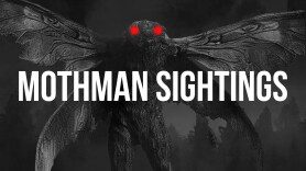 The Mothman Sightings