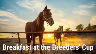 Breakfast at the Breeders' Cup