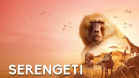 Serengeti