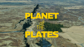 Planet of the Plates