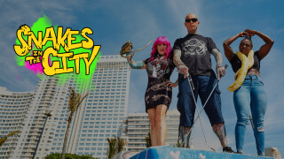Snakes in the City
