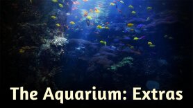 The Aquarium: Extras