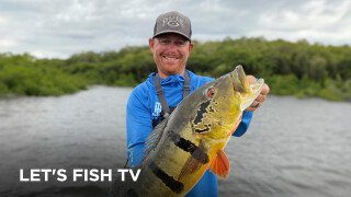 Let's Fish TV