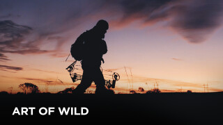 Art of Wild