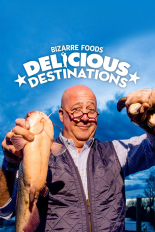 Bizarre Foods: Delicious Destinations