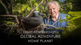 David Attenborough's Global Adventure: Home Planet