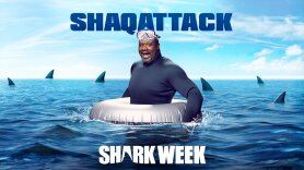 ShaqAttack