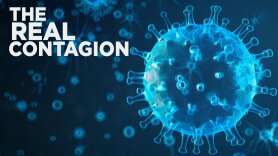 The Real Contagion