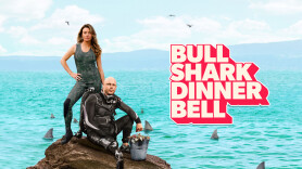 Bull Shark Dinner Bell